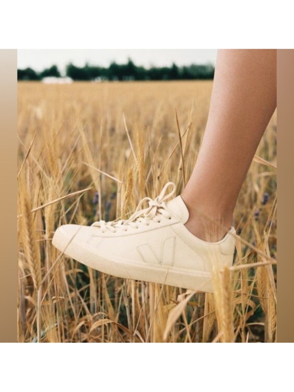 Mansur Gavriel Veja Campo collab Sneaker in Off-White